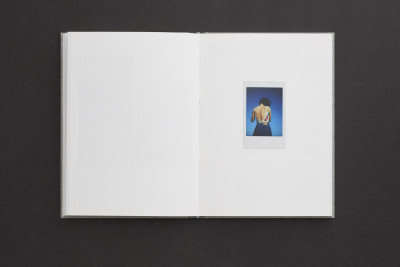 Die blaue Bibliothek